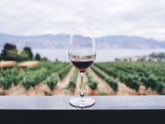 A glass of red wine is in the foreground, in front of a sweeping picture of a vineyard