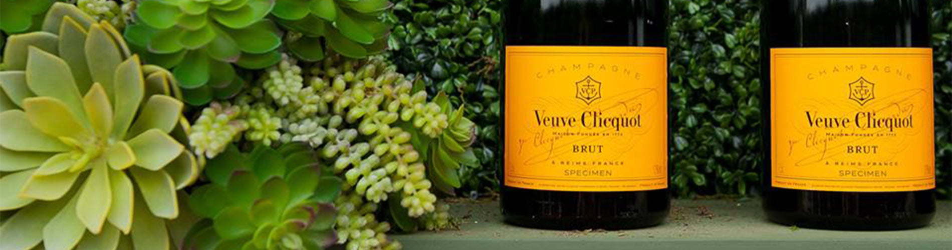 Veuve O\'Briens – Wine Clicquot