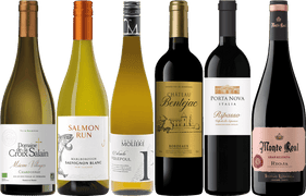 The Best of The Annual Wine Sale - 6 Bottle Mixed Case O'Brien's Wine Off Licence 33169 WINE CASE