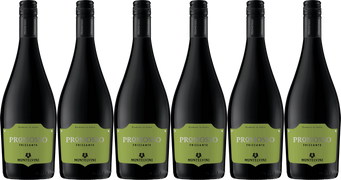 Montelvini Promosso Frizzante - 6 Bottle Case O'Brien's Wine Off Licence 40477 SPARKLING