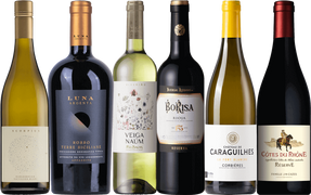 O'Briens Wine Festival Selection - 6 Bottle Mixed Wine Case O'Brien's Wine Off Licence 40938 WINE