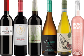 Great Organics - 6 Bottle Mixed Case O'Brien's Wine Off Licence 31338 WINE