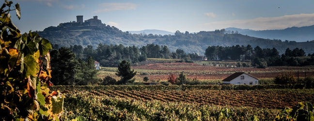 A Wine-Inspired Journey Through Spain
