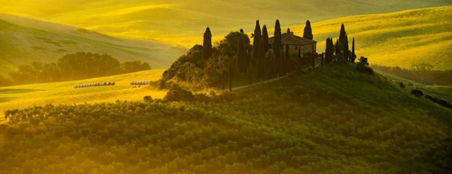 Our Top Five Must-Try Italian Wines