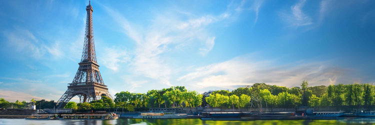 Explore Our French Wine Sale Brochure