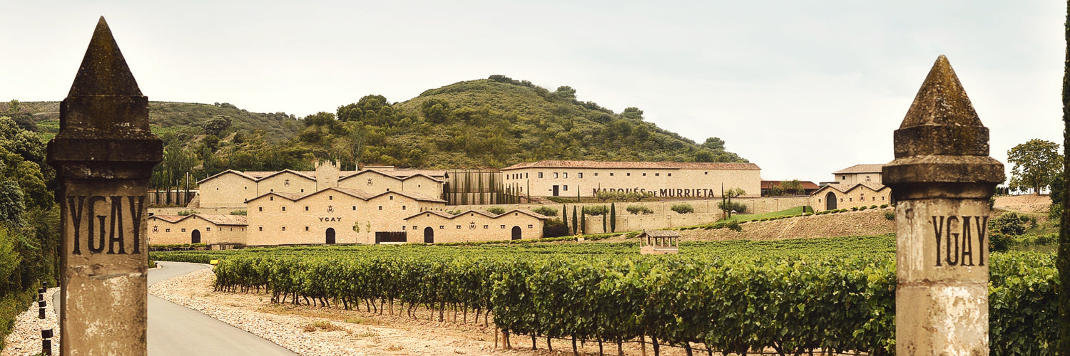 All You Need To Know About Rioja