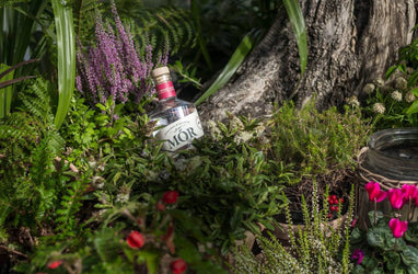 Great Irish Gin