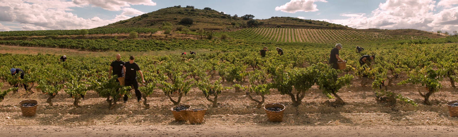 Rioja Gran Reserva Perfect for Father's Day
