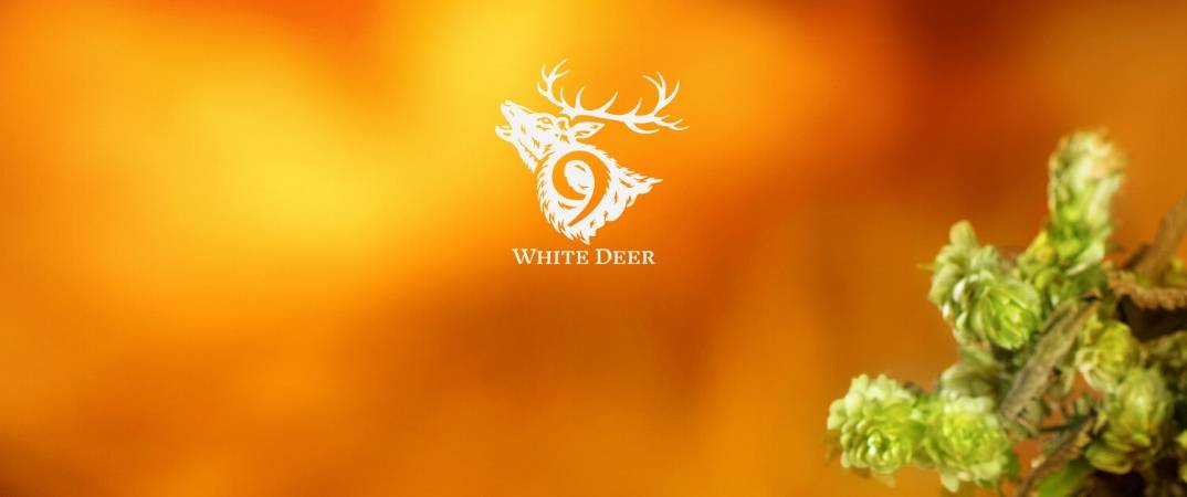 9 White Deer