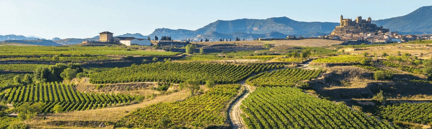 Spanish Wine Sale: Staff Inside Track