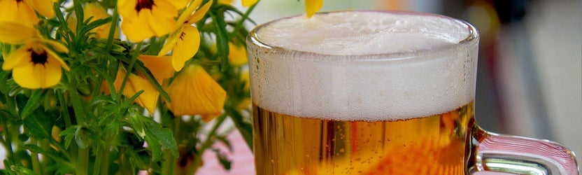 New and Returning Beers for June
