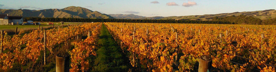 Top Organic Wines To Try This Weekend