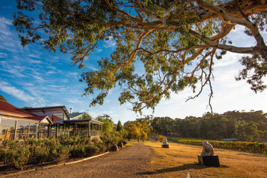 Cool-Climate Australia