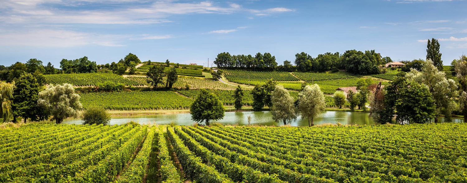 Five Classic French Wines You Have To Try