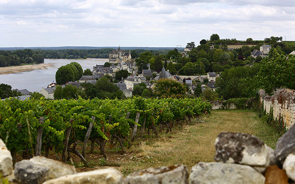 Table 8 | Wine Festival | France | Alliance Wines [hidden]
