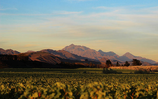 Table 48 | Wine Festival | New Zealand | Astrolabe Wines [hidden]