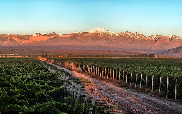 Table 2 | Wine Festival | Argentina | Bodegas Norton [hidden]