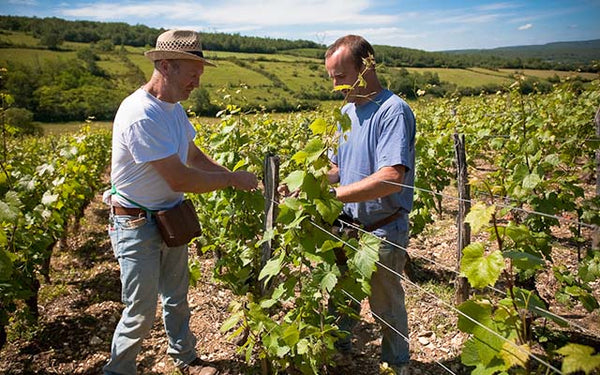 Table 11 | Wine Festival | France | Cave de Lugny [hidden]