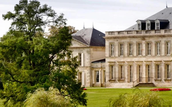 Table 8 | Wine Festival | France | Château Phélan-Ségur [hidden]