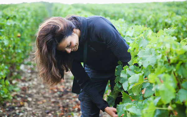 Table 19 |Wine Festival | France | Domaines Regis Minet [hidden]