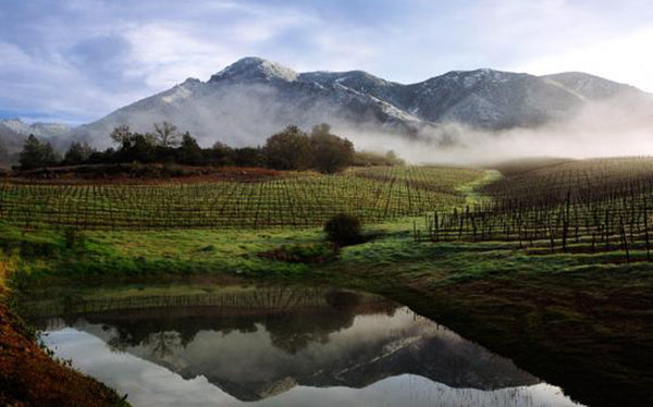 Table 70 | Wine Festival | USA | Jackson Family Wines [hidden]