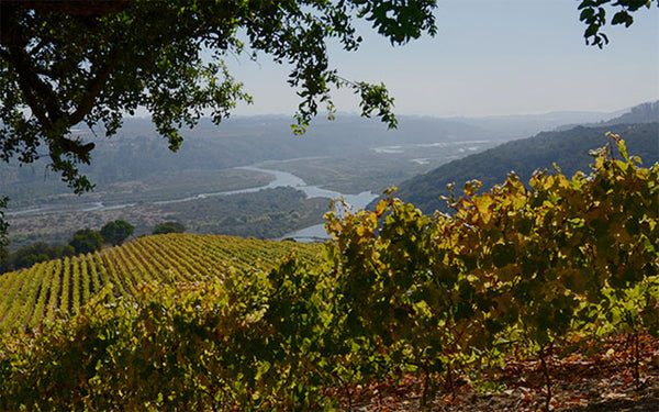 Table 7 | Wine Festival | Chile | Viña Leyda [hidden]