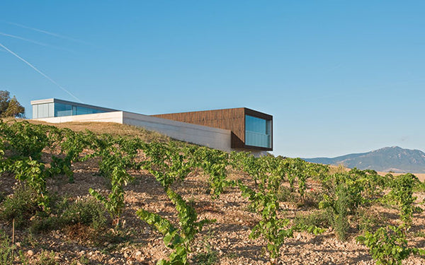 Table 60 | Wine Festival | Spain | Bodega Tandem [hidden]