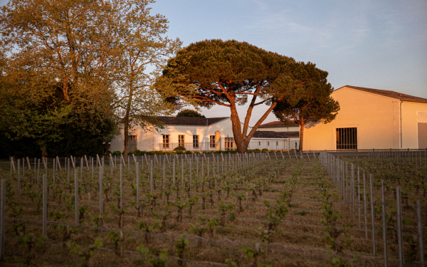 Table 8 | Wine Festival | France | Château de Fieuzal [hidden]