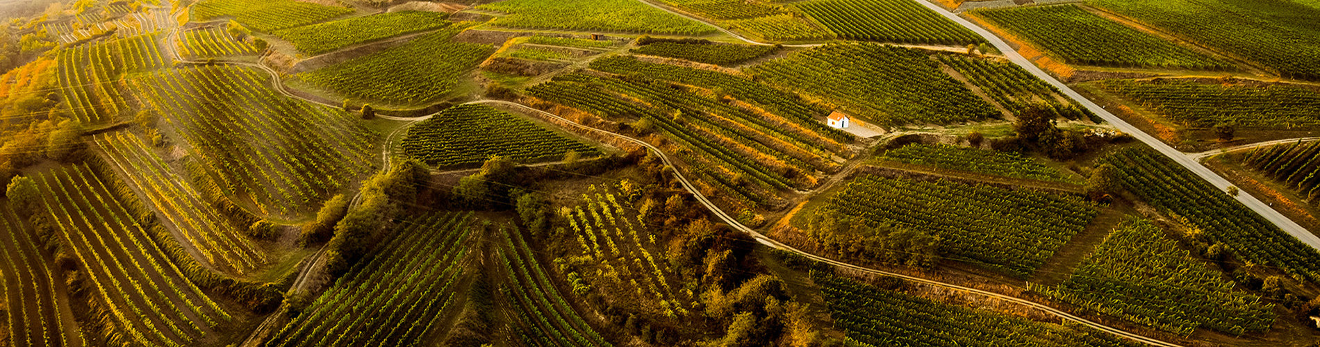 Weingut Rabl Vineyard – O'Briens Wine