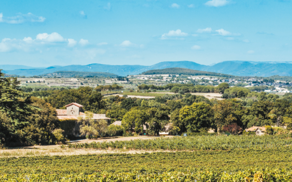 Table 18 | Wine Festival | France | Château Belles Eaux [hidden]
