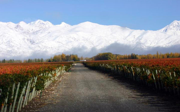 Table 1 | Wine Festival | Argentina | Bodegas Caro & Los Vascos [hidden]