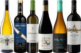 Best of the Spanish Wine Sale - 6 Bottle Mixed Wine Case O'Brien's Wine Off Licence 40261 WINE