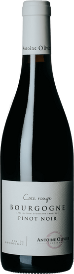 Domaine Olivier Bourgogne Pinot Noir Coté Rouge Sarl Olivier 40911 WINE