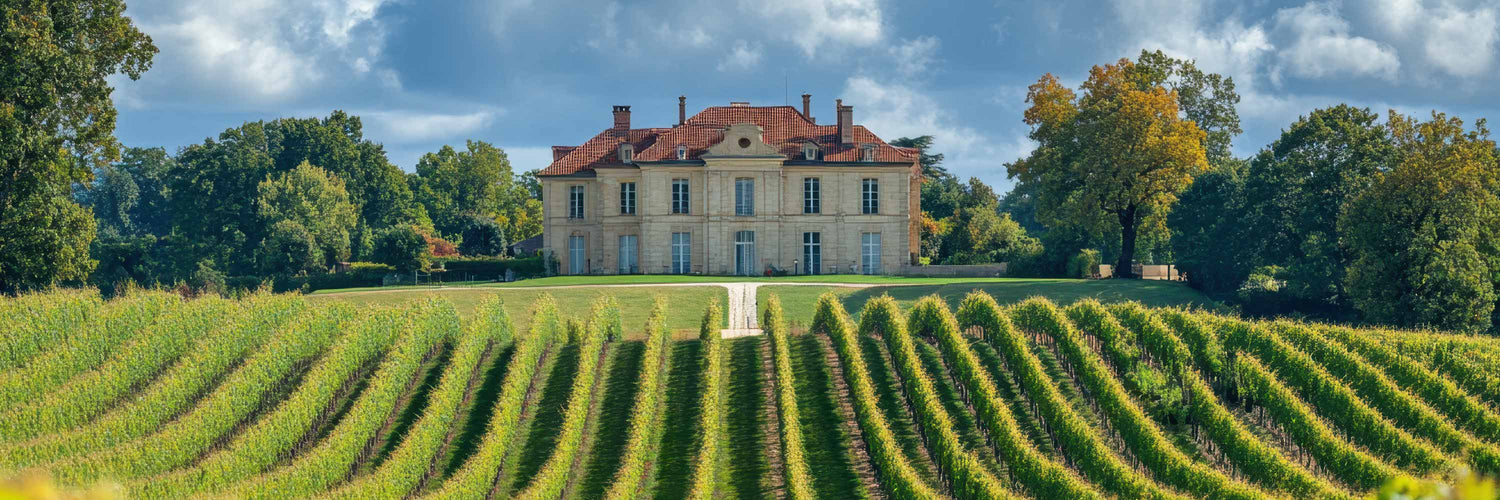 O'Briens Wine
