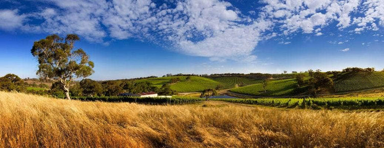 O'Briens Wine