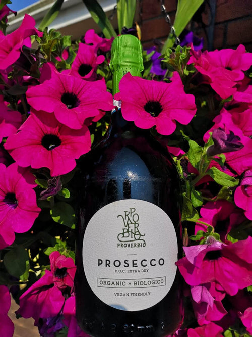 Proverbio Organic Prosecco O'Briens Wine 30761 SPARKLING