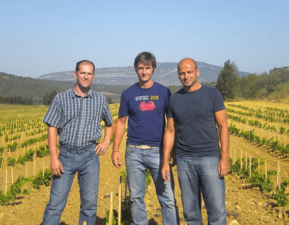 O'Briens Wine