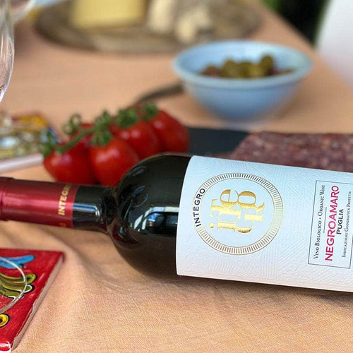 Integro Negroamaro Puglia IGP O'Briens Wine 18WITA007 WINE
