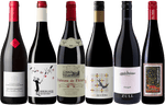 Alternative Summer Reds - 6 Bottle Case OBRIENS 31854 WINE